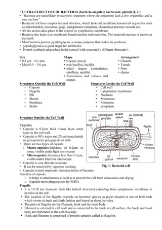 • ULTRA-STRUCTURE OF BACTERIA (bacteria-singular; bacterium: plural) [1, 2]:
• “Bacteria are unicellular prokaryotic organism where the organisms lack a few organelles and a
true nucleus”.
• Bacterial cell have simpler internal structure, which lacks all membrane bound cell organelles such
as mitochondria, lysosome, golgi, endoplasmic reticulum, chloroplast and true vacuole etc.
• All the action takes place in the cytosol or cytoplasmic membrane
• Bacteria also lacks true membrane bound nucleus and nucleolus. The bacterial nucleus is known as
nucleoid.
• Most bacteria possess peptidoglycan, a unique polymer that makes its synthesis
• peptidoglycan is a good target for antibiotics.
• Protein synthesis takes place in the cytosol with structurally different ribosome’s
Size
• 0.2 µm – 0.1 mm
• Most 0.5 – 5.0 µm
Shape
• Coccus (cocci)
• rod (bacillus, bacilli)
• spiral shapes (spirochetes;
spirillum, spirilla)
• filamentous and various odd
shapes.
Arrangement
• Clusters
• Tetrads
• Pairs
• chains
Structures Outside the Cell Wall
• Capsule
• Flagella
• Pili
• Sheath
• Prostheca
• Stalks
Structures Inside the Cell Wall
• Cell wall
• Cytoplasmic membrane
• Nucleoid
• Mesosome
• Ribosome
• cytoplasm
Structure Outside the Cell Wall
Capsule:
• Capsule is 0.2µm thick viscus layer outer
layer to the cell wall.
• Capsule is 98% water and 2% polysaccharide
or glycoprotein/ polypeptide or both.
• There are two types of capsule.
i. Macro-capsule: thickness of 0.2µm or
more, visible under light microscope
ii. Microcapsule: thickness less than 0.2µm,
visible under Electron microscope
• Capsule is very delicate structure.
• It can be removed by vigorous washing.
• Capsule is most important virulence factor of bacteria.
Function of capsule:
o It helps in attachments as well as it prevent the cell from desiccation and drying.
o Capsule resist phagocytosis by WBCs
Flagella
• It is 15-20 nm filaments (hair like helical structure) extending from cytoplasmic membrane to
exterior of the cell.
• The location of the flagella depends on bacterial species as polar situated at one or both ends
which swims in back and forth fashion and lateral at along the sides.
• The parts of flagella are the filament, hook and the basal body.
• Filament is external to cell wall and is connected to the hook at cell surface, the hook and basal
body are embedded in the cell envelope.
• Hook and filament is composed of protein subunits called as flagellin.
 