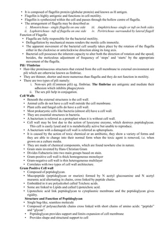 • It is composed of flagellin protein (globular protein) and known as H antigen.
• Flagellin is highly antigenic and functions in cell motility.
• Flagellin is synthesized within the cell and passes through the hollow centre of flagella.
• The arrangement of flagella may be described as
i. Monotrichous– single flagella on one side
ii. Lophotrichous– tuft of flagella on one side
iii. Amphitrichous–single or tuft on both sides
iv. Peritrichous–surrounded by lateral flagell
Function of Flagella
• Flagella are fully responsible for the bacterial motility.
• Deflagellation by mechanical means renders the motile cells immotile.
• The apparent movement of the bacterial cell usually takes place by the rotation of the flagella
either in the clockwise or anticlockwise direction along its long axis.
• Bacterial cell possesses the inherent capacity to alter both the direction of rotation and the speed;
besides, the meticulous adjustment of frequency of ‘stops’ and ‘starts’ by the appropriate
movement of the flagella.
Pili / Fimbriae
• Hair-like proteinaceous structures that extend from the cell membrane to external environment are
pili which are otherwise known as fimbriae.
• They are thinner, shorter and more numerous than flagella and they do not function in motility.
• There are two types of pili namely:
i. Non-sex pili (Common pili) eg. fimbriae. The fimbriae are antigenic and mediate their
adhesion which inhibits phagocytosis
ii. The sex pili help in conjugation.
Cell Walls
• Beneath the external structures is the cell wall.
• Animal cells do not have a cell wall outside the cell membrane.
• Plant cells and fungal cells do have a cell wall.
• Most prokaryotic cells like bacteria (almost all) have a cell wall.
• They are essential structures in bacteria.
• A bacterium is referred as a protoplast when it is without cell wall.
• Cell wall may be lost due to the action of lysozyme enzyme, which destroys peptidoglycan.
This cell is easily lysed and it is metabolically active but unable to reproduce.
• A bacterium with a damaged cell wall is referred as spheroplasts.
• It is caused by the action of toxic chemical or an antibiotic, they show a variety of forms and
they are able to change into their normal form when the toxic agent is removed, i.e. when
grown on a culture media.
• They are made of chemical components, which are found nowhere else in nature.
• Gram stain invented by Hans Christian Gram
• Divides Eubacteria into two main groups based on stain.
• Gram-positive cell wall is thick homogeneous monolayer
• Gram-negative cell wall is thin heterogeneous multilayer
• Correlates with two types of cell wall architecture.
Gram Positive Cell wall
• Composed of peptidoglycan.
• Mucopeptide (peptidoglycan or murien) formed by N acetyl glucosamine and N acetyl
muramic acid alternating in chains, cross linked by peptide chains.
• Embedded in it are polyalcohol called Teichoic acids.
• Some are linked to Lipids and called Lipoteichoic acid.
• Lipotechoic acid link peptidoglycan to cytoplasmic membrane and the peptidoglycan gives
rigidity.
Structure and Function of Peptidoglycan
• Single bag-like, seamless molecule
• Composed of polysaccharide chains cross linked with short chains of amino acids: “peptido”
and “glycan”.
• Peptidoglycan provides support and limits expansion of cell membrane
• Provides shape and structural support to cell
 
