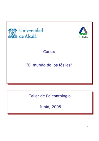 1
Curso:
“El mundo de los fósiles”
Taller de Paleontología
Junio, 2005
 