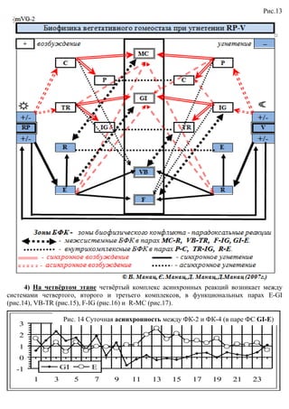 Рис.13




      4) На четвёртом этапе четвёртый комплекс асинхронных реакций возникает между
системами четвертого, второго и третьего комплексов, в функциональных парах E E-GI
(рис.14), VB-TR (рис.15), F-IG (рис.16) и R
                            IG            R-MC (рис.17).

                  Рис. 14 Суточная Добова асинхронна активність пари GI-E)
                                   асинхронность между ФК-2 и ФК (в паре ФС E-GI
                                                          2 ФК-4
   3
   2
   1
   0
  -1              GI       E
        1     3        5   7    9     11   13    15    17    19    21    23
 