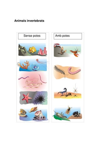 Animals invertebrats

Sense potes

Amb potes

 
