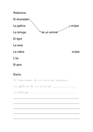 Relaciona
El dromedari
La gallina
La tortuga

vivípar
és un animal

El tigre
La serp
La cabra

ovípar

L’ós
El peix
Escriu
El dromedari és un animal vivípar..
La gallina és un animal ...................
tortuga.....................................
La tortuga
............................................................................................................
.............................................................................................................
.............................................................................................................
.............................................................................................................
.............................................................................................................

 