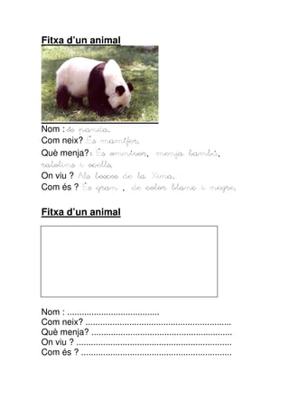 Fitxa d’un animal

Nom : ós panda.
panda.
Com neix? És mamífer.
mamífer.
Què menja? És omnívor, menja bambú,
omnívor,
ratolins i ocells.
On viu ? Als boscos de la Xina.
Xina.
Com és ? És gran , de color blanc i negre.
negre.

Fitxa d’un animal

Nom : ......................................
Com neix? ............................................................
Què menja? ..........................................................
On viu ? ................................................................
Com és ? ..............................................................

 