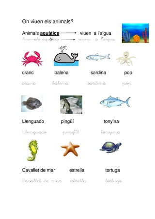On viuen els animals?
Animals aquàtics

viuen a l’aigua

Animals aquà
Animals aquàtics

viuen

a l’aigua
aigua

cranc

balena

sardina

pop

cranc

balena

sardina

pop

Llenguado

pingüí

Llenguado

pingüí

tonyina
tonyina
tonyina

Cavallet de mar

estrella

tortuga

Cavallet de mar

estrella

tortuga

 