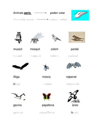 Animals aeris

poden volar

Animals aeris

poden volar

mussol

mosquit

colom

pardal

mussol
mussol

mosquit

colom

pardal

Àliga

mosca

ratpenat

àliga

mosca

gavina

papallona

ànec

papallona

ànec

gavina

ratpenat

 