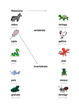 Relaciona
zebra tortuga
zebrazebrazebrazebra tortugatortugatortugatortuga
vertebrats
sípia gallina
sísísísípiapiapiapia gallinagallinagallinagallina
serp pop
serp popserp popserp popserp pop
invertebrats
peix mosca
peixpeixpeixpeix moscamoscamoscamosca
granota formiga
granota formigagranota formigagranota formigagranota formiga
 