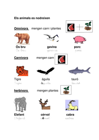 Els animals es nodreixen
Omnívors mengen carn i plantes
Ós bru gavina porc
ÓsÓsÓsÓs brubrubrubru gavinagavinagavinagavina porcporcporcporc
Carnívors mengen carn
Tigre àguila tauró
TigreTigreTigreTigre ààààguila tauróguila tauróguila tauróguila tauró
herbívors mengen plantes
Elefant cérvol cabra
ElefaElefaElefaElefantntntnt ccccérvrvrvrvolololol cabracabracabracabra
 