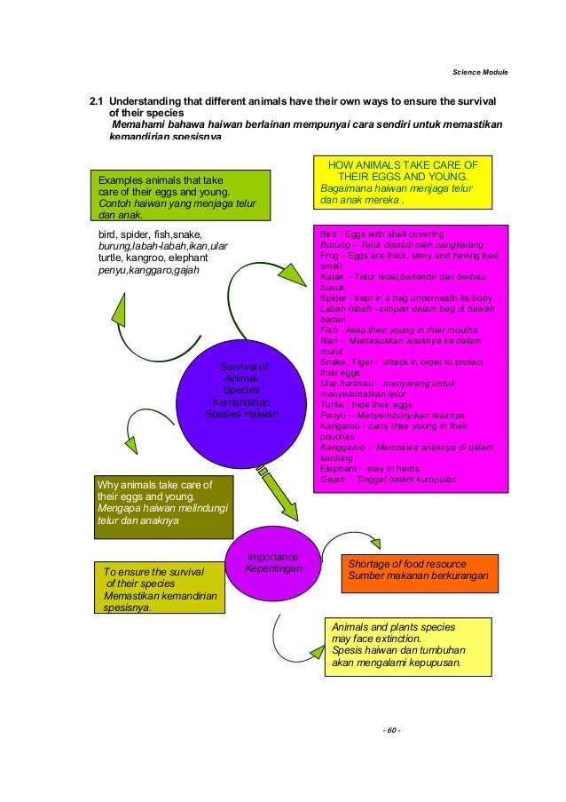 Microsoft word -_modul-galus-sains-upsr