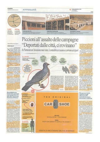 Microsoft word   piccioni all'assalto.doc