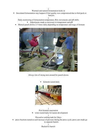↓
                     Warmed and natural fermentation kicks in
• Inoculated fermentation may happen if fruit quality was compromised due to bird peck or
                                          botrytis
                                         ↓
    Daily monitoring of fermentation temperature, Brix movements and pH shifts
                • Adjustments made as necessary to temperature and pH
 • Manual punch downs 2-3 times daily depending on temperature and stage of ferment




                    Always lots of strong men around for punch downs


                                    •   ferments tasted daily




                                                ↓
                                    Post ferment maceration
                          • wines tasted daily for tannin development
                                                ↓
                               Pressed to settling tank for 2days
•   press fractions tasted at each increase of pressure during the press cycle, press cuts made go
                                           to separate barrels
                                                ↓
                                       Racked to barrels
 