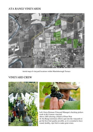 ATA RANGI VINEYARDS




        Aerial map of vineyard locations within Martinborough Terrace


VINEYARD CREW




                             Left: Gerry Rotman (Vineyard Manager) checking pickers
                             work in the Lismore vineyard.
                             Above: Bill selecting a bunch of Pinot Noir
                             At Ata Rangi enormous effort is put into the vineyards to
                             get the best fruit quality possible, as it is essential to have
                             sound, healthy, ripe fruit to make great wines.
 