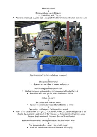 Hand harvested
                                          ↓
                          Destemmed and crushed to press
                              • Press filled with CO2 gas
•   Additions of 30mg/L SO2 and 2g/L Lafazym Extract for aromatic extraction from the skins




                     Sauvignon ready to be weighed and processed

                                             ↓
                                 Skin contact time varies
                      • depends on time taken to harvest and process
                                             ↓
                            Pressed and pumped to chilled tank
          • Via heat exchange unit depending on temperature of fruit at harvest
                 • Tank filled with inert gas for protection from oxidation
                                             ↓
                                     Settled for 2days
                                             ↓
                             Racked to clean tank and barrels
                 • depends on volume and block if barrel ferment to occur
                                             ↓
                    Warmed to 14/15 degrees Celsius and inoculated
•   some of the yeasts used VIN7, QA23, VL3, FermiCru 4F9, CKS102 with dynastart at 10-
     20g/hL depending on block (most of the vineyards no fermentation nutrient was added
                   because YAN results and vineyards show sufficient health)
                                             ↓
           Fermentation monitored for temperature and brix movements daily
                                             ↓
                    Post fermentation lees contact (stirred with pump)
                  • wine and lees tasted to check no reduction developing
 