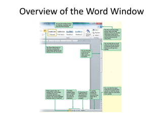 Overview of the Word Window
 