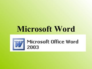 Microsoft Word 