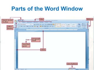 Parts of the Word Window

 