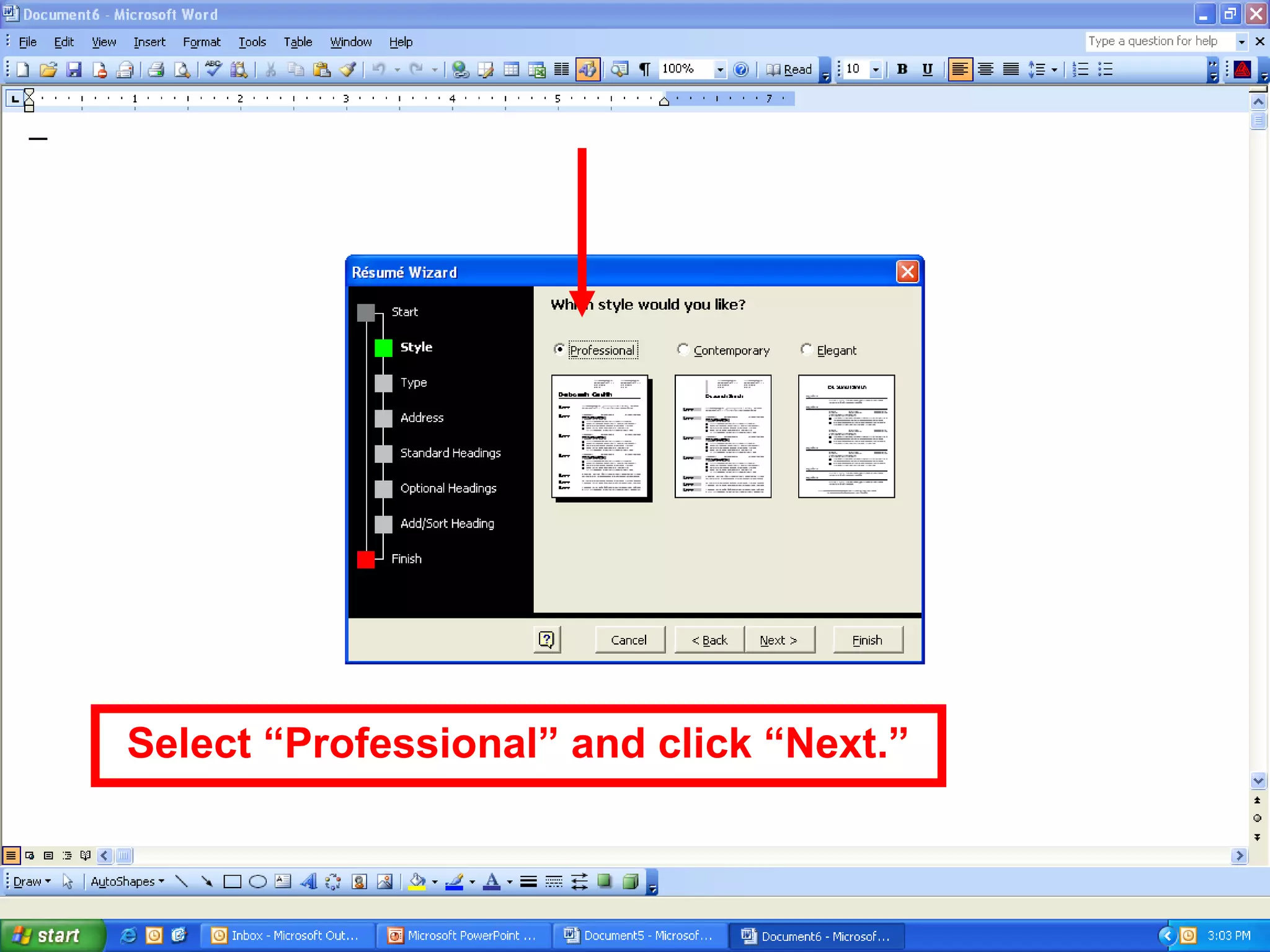 Select “Professional” and click “Next.”
 