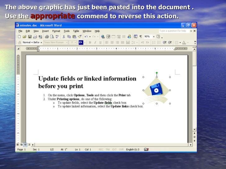 Microsoft word xp