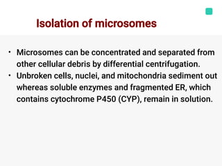 •
•
Microsomes can be concentrated and separated from
other cellular debris by differential centrifugation.
Unbroken cells, nuclei, and mitochondria sediment out
whereas soluble enzymes and fragmented ER, which
contains cytochrome P450 (CYP), remain in solution.
Isolation of microsomes
 