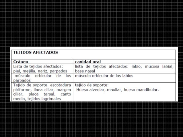 Crecimiento Craneo Facial Condilar