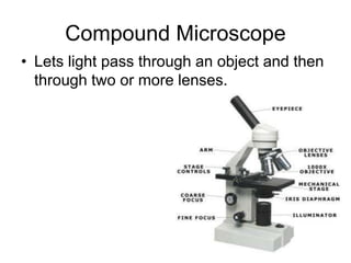 MICROSOPE TYPES PPT CAMBRIDGE AS BIOLOGY | PPT