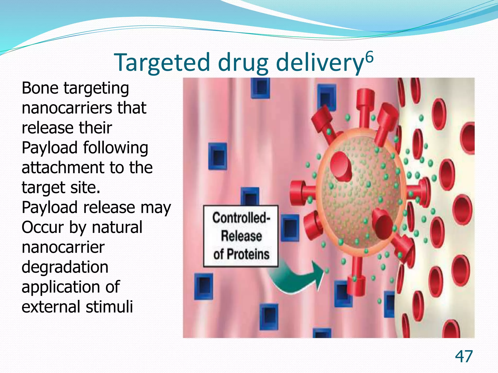 Targeted drug delivery6
47
Bone targeting
nanocarriers that
release their
Payload following
attachment to the
target site.
Payload release may
Occur by natural
nanocarrier
degradation
application of
external stimuli
 