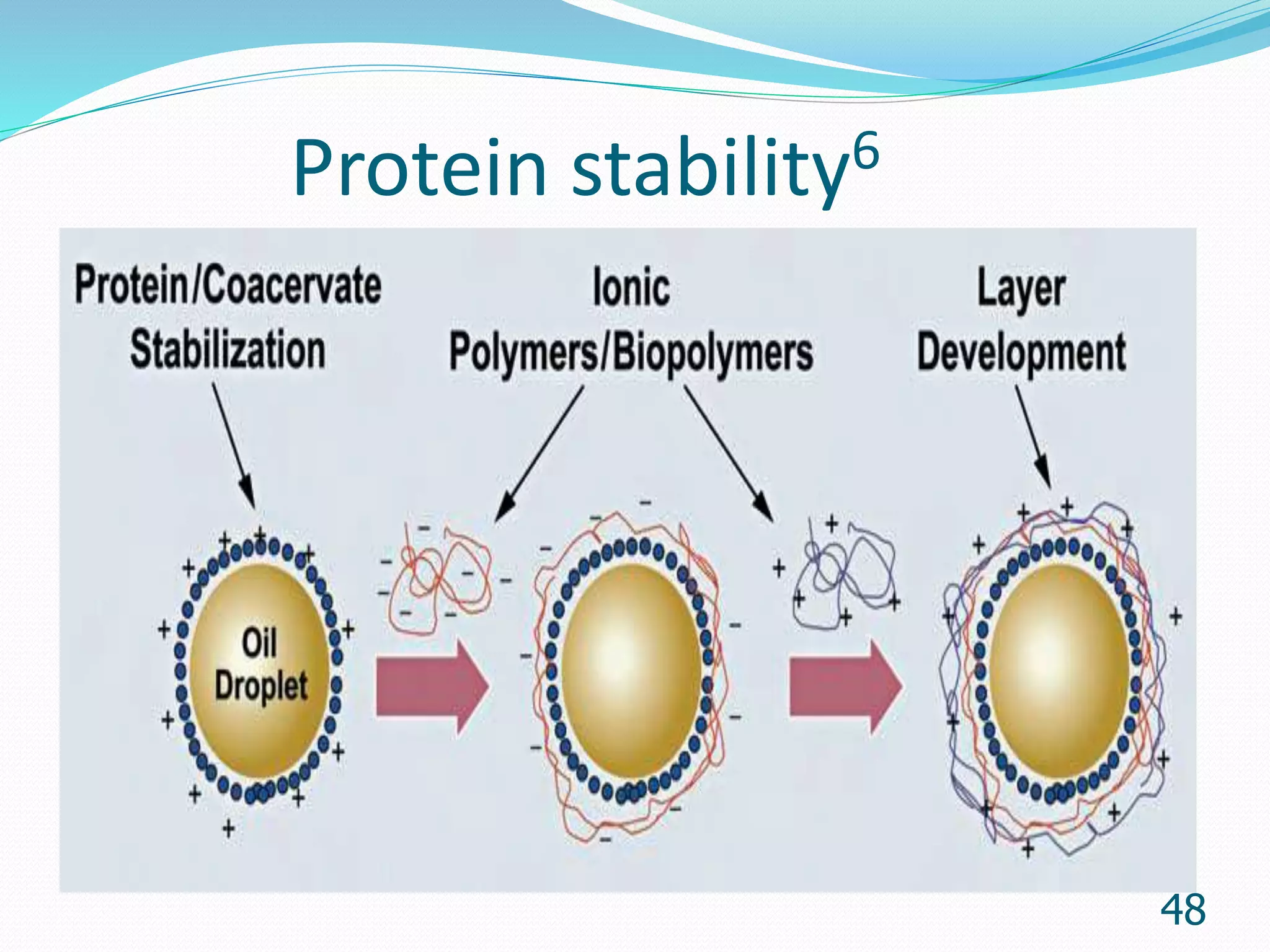 Protein stability6
48
 