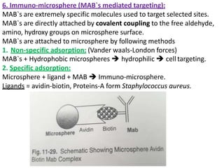 6. Immuno-microsphere (MAB`s mediated targeting):
MAB`s are extremely specific molecules used to target selected sites.
MAB`s are directly attached by covalent coupling to the free aldehyde,
amino, hydroxy groups on microsphere surface.
MAB`s are attached to microsphere by following methods
1. Non-specific adsorption: (Vander waals-London forces)
MAB`s + Hydrophobic microspheres  hydrophilic  celltargeting.
2. Specific adsorption:
Microsphere + ligand + MAB  Immuno-microsphere.
Ligands = avidin-biotin, Proteins-A form Staphylococcus aureus.
 