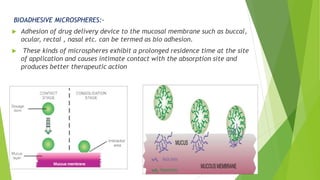 BIOADHESIVE MICROSPHERES:-
 Adhesion of drug delivery device to the mucosal membrane such as buccal,
ocular, rectal , nasal etc. can be termed as bio adhesion.
 These kinds of microspheres exhibit a prolonged residence time at the site
of application and causes intimate contact with the absorption site and
produces better therapeutic action
 