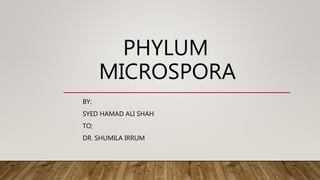 PHYLUM
MICROSPORA
BY:
SYED HAMAD ALI SHAH
TO;
DR. SHUMILA IRRUM
 