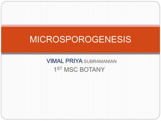VIMAL PRIYA SUBRAMANIAN
1ST MSC BOTANY
MICROSPOROGENESIS
 