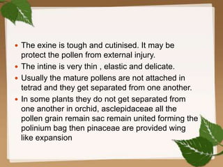  The exine is tough and cutinised. It may be
protect the pollen from external injury.
 The intine is very thin , elastic and delicate.
 Usually the mature pollens are not attached in
tetrad and they get separated from one another.
 In some plants they do not get separated from
one another in orchid, asclepidaceae all the
pollen grain remain sac remain united forming the
polinium bag then pinaceae are provided wing
like expansion
 