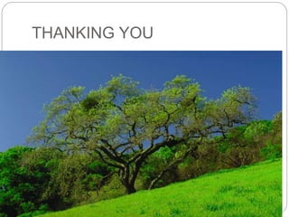 THANKING YOU
 