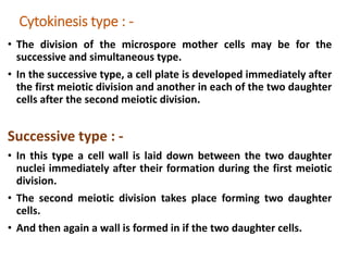 Cytokinesis type : -
• The division of the microspore mother cells may be for the
successive and simultaneous type.
• In the successive type, a cell plate is developed immediately after
the first meiotic division and another in each of the two daughter
cells after the second meiotic division.
Successive type : -
• In this type a cell wall is laid down between the two daughter
nuclei immediately after their formation during the first meiotic
division.
• The second meiotic division takes place forming two daughter
cells.
• And then again a wall is formed in if the two daughter cells.
 