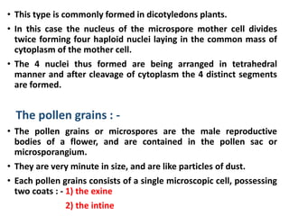 • This type is commonly formed in dicotyledons plants.
• In this case the nucleus of the microspore mother cell divides
twice forming four haploid nuclei laying in the common mass of
cytoplasm of the mother cell.
• The 4 nuclei thus formed are being arranged in tetrahedral
manner and after cleavage of cytoplasm the 4 distinct segments
are formed.
The pollen grains : -
• The pollen grains or microspores are the male reproductive
bodies of a flower, and are contained in the pollen sac or
microsporangium.
• They are very minute in size, and are like particles of dust.
• Each pollen grains consists of a single microscopic cell, possessing
two coats : - 1) the exine
2) the intine
 