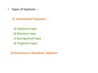 • Types of tapetum : -
1) Amoeboidal Tapetum : -
a) Sagittaria type
b) Butomus type
c) Sparaganium type
d) Triglochin type
2) Secretory or Glandular Tapetum
 