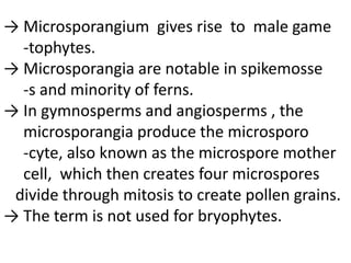 → Microsporangium gives rise to male game
-tophytes.
→ Microsporangia are notable in spikemosse
-s and minority of ferns.
→ In gymnosperms and angiosperms , the
microsporangia produce the microsporo
-cyte, also known as the microspore mother
cell, which then creates four microspores
divide through mitosis to create pollen grains.
→ The term is not used for bryophytes.
 