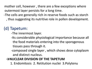 mother cell, however , there are a few exceptions where
outermost layer persists for a long time.
-The cells are generally rich in reserve foods such as starch
, thus suggesting its nutritive role in pollen development.
(d) Tapetum:
-The innermost layer.
-Its considerable physiological importance because all
the food materials entering into the sporogenous
tissues pass through it.
-composed single layer , which shows dese cytoplasm
and distinct nucleus.
→NUCLEAR DIVISION OF THE TAPETUM
1. Endomitosis 2. Retitution nuclei 3.Polytenu
 