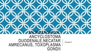 MICROSPORIDIA,
ANCYCLOSTOMA
DUODENALE,NECATAR
AMRECANUS, TOXOPLASMA
GONDII
Group 4
 