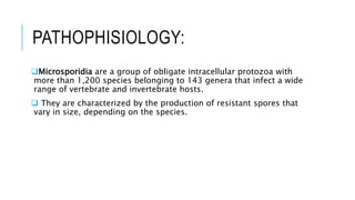 Microsporidia, ancyclostoma duodenale,necatar amrecanus, toxoplasma gondii Slide 35