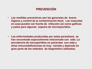 PREVENCIÓN
• Las medidas preventivas son las generales de buena
higiene y control de la contaminación fecal. Las mascotas
en casa pueden ser fuente de infección así como gallinas
y patos para algunas especie de microsporidios.
• Las enfermedades producidas por estas parasitosis se
han encontrado especialmente relacionada con sida. La
prevalencia de microporidios en pacientes son sida y
otras inmunodeficiencias es muy variada y depende en
gran parte de los métodos de diagnóstico utilizados.
 