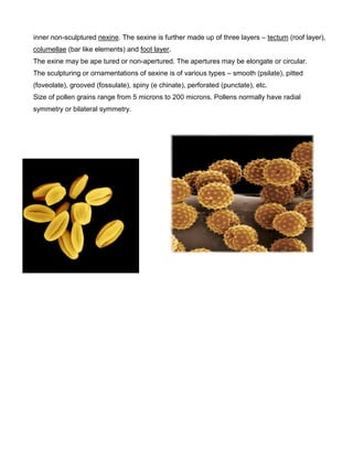 inner non-sculptured nexine. The sexine is further made up of three layers – tectum (roof layer),
columellae (bar like elements) and foot layer.
The exine may be ape tured or non-apertured. The apertures may be elongate or circular.
The sculpturing or ornamentations of sexine is of various types – smooth (psilate), pitted
(foveolate), grooved (fossulate), spiny (e chinate), perforated (punctate), etc.
Size of pollen grains range from 5 microns to 200 microns. Pollens normally have radial
symmetry or bilateral symmetry.
 