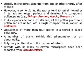 • Usually microspores separate from one another shortly after
meiosis.
• However, in some plants, the spores tend to remain together
in tetrads for longer periods and develop into compound
pollen grains (e.g., Drimys, Annona, Acacia, Drosera etc.).
• In Asclepiadaceae and Orchidaceae, all the pollen grains in a
pollen sac are united into a single compact mass, known as
pollinium.
• Occurrence of more than four spores in a tetrad is called
polyspory.
• A number of plants exhibit this phenomenon as an
abnormality.
• Polyspory is often due to the division of tetrads.
• Tetrads with as many as eleven microspores have been
reported from Cuscuta reflexa.
 
