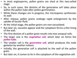 • In most angiosperms, pollen grains are shed at this two-celled
stage.
• So, in such cases, the division of the generative cell takes place
within the pollen tube after pollen germination.
• While these changes are in progress, the microspores synthesizes
its wall.
• After release, pollen grains undergo rapid enlargement by the
uptake of locular fluid.
• At the initial stage, the pollen grains are non-vacuolated.
• But later on, vacuoles appear and the cytoplasm forms a thin lining
of the wall.
• The first division of a pollen grain results into two unequal cells.
• The larger one is the vegetative cell, which later on forms the
pollen tube.
• The smaller cell is the generative cell, which produces the male
gametes by another mitosis.
• Initially, the generative cell is attached to the wall of the pollen
grain.
• But later on, it comes to lie in the cytoplasm of the vegetative cell.
 