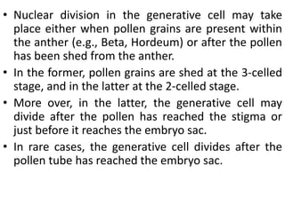 • Nuclear division in the generative cell may take
place either when pollen grains are present within
the anther (e.g., Beta, Hordeum) or after the pollen
has been shed from the anther.
• In the former, pollen grains are shed at the 3-celled
stage, and in the latter at the 2-celled stage.
• More over, in the latter, the generative cell may
divide after the pollen has reached the stigma or
just before it reaches the embryo sac.
• In rare cases, the generative cell divides after the
pollen tube has reached the embryo sac.
 