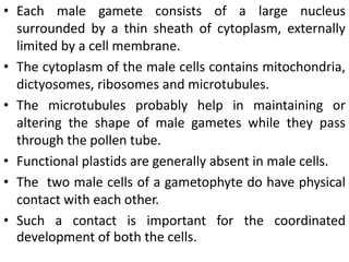 • Each male gamete consists of a large nucleus
surrounded by a thin sheath of cytoplasm, externally
limited by a cell membrane.
• The cytoplasm of the male cells contains mitochondria,
dictyosomes, ribosomes and microtubules.
• The microtubules probably help in maintaining or
altering the shape of male gametes while they pass
through the pollen tube.
• Functional plastids are generally absent in male cells.
• The two male cells of a gametophyte do have physical
contact with each other.
• Such a contact is important for the coordinated
development of both the cells.
 