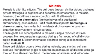 Meiosis
Meiosis is a lot like mitosis. The cell goes through similar stages and uses
similar strategies to organize and separate chromosomes. In meiosis,
however, the cell has a more complex task. It still needs to
separate sister chromatids (the two halves of a duplicated
chromosome), as in mitosis. But it must also separate homologous
chromosomes, the similar but nonidentical chromosome pairs an
organism receives from its two parents.
These goals are accomplished in meiosis using a two-step division
process. Homologue pairs separate during a first round of cell division,
called meiosis I. Sister chromatids separate during a second round,
called meiosis II.
Since cell division occurs twice during meiosis, one starting cell can
produce four gametes (eggs or sperm). In each round of division, cells go
 