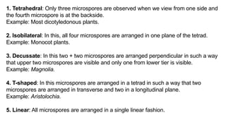 1. Tetrahedral: Only three microspores are observed when we view from one side and
the fourth microspore is at the backside.
Example: Most dicotyledonous plants.
2. Isobilateral: In this, all four microspores are arranged in one plane of the tetrad.
Example: Monocot plants.
3. Decussate: In this two + two microspores are arranged perpendicular in such a way
that upper two microspores are visible and only one from lower tier is visible.
Example: Magnolia.
4. T-shaped: In this microspores are arranged in a tetrad in such a way that two
microspores are arranged in transverse and two in a longitudinal plane.
Example: Aristolochia.
5. Linear: All microspores are arranged in a single linear fashion.
 