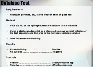 Microbiology spotter solution747246327 2.ppsx