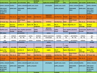 ouvido interno seio maxilar cels etimoidais olho
cavidade
frontal orgãos dos sentidos
cavidade
frontal olho cels etimoidais seio maxilar ouvido interno
ombro, cotovelo maxilar, ombro, cotovelo quadril, saro, coccis articulações quadril, saro, coccis ombro, cotovelo maxilar, ombro, cotovelo
mão (ulnar) joelho (ant) mão(radial) joelho, pé (post) joelho, pé (post) mão(radial) joelho (ant) mão (ulnar)
sacro, ilíaco hálux hálux sacro, ilíaco
pé (plantar) pé (plantar)
artelhos artelhos
T 7, 6, 5,1 T12, 11, L1 C5,6,7 T2,3,4 T10,9,8 L3,2 S5,4 Ccx
segmentos
medulares L3,2 S5,4 Ccx T10,9,8 C5,6,7 T2,3,4 T12, 11, L1 T 7, 6, 5,1
S 1, 2, 3 L5,4 L5,4 S 1, 2, 3
C7 T1,5,6 S1,2 T12, 11, L1
C5,6,7 T2,3,4
L5,4 T10,9 L3,2 S5,4 Ccx vertebras L3,2 S5,4 Ccx T10,9
C5,6,7 T2,3,4
L5,4 T12, 11, L1 C7 T1,5,6 S1,2
duodeno pâncreas pulmão, IG fígado, VB Rim, B orgãos Rim, B fígado, VB pulmão, IG baço duodeno
coração estômago urogenital urogenital estômago coração
hipófise (ant) paratireoide timo, hipófise (pituitária epífise
glândulas
endócrinas epífise timo, hipófise (pituitária paratireoide hipófise (ant)
tireoide lob post pineal pineal lob post tireoide
SNC psique gl mamárias outros gl mamárias SNC psique
siso molares pré molares canino incisivos dentes superiores incisivos canino pré molares molares siso
8o. 7o. - 6o. 5o. - 4o. 3o. 2o. - 1o. numeração 1o. - 2o. 3o. 4o. - 5o. 6o. - 7o. 8o.
siso molares pré molares canino incisivos dentes inferiores incisivos canino pré molares molares siso
energia gl mamárias outros gl mamárias energia
SNPerif art, veias
v.
linf, gonadas suprarenal
glândulas
endócrinas suprarenal
v. linf,
gonadas art, veias SNPerif
jejuno, íleo pâncreas pulmão, IG fígado, VB Rim, B orgãos Rim, B fígado, VB pulmão, IG baço jejuno, íleo
coração estômago urogenital urogenital estômago coração
C7 T1,5,6 S1,2 T12, 11, L1
C5,6,7 T2,3,4
L5,4 T10,9 L3,2 S5,4 Ccx vertebras L3,2 S5,4 Ccx T10,9
C5,6,7 T2,3,4
L5,4 T12, 11, L1 C7 T1,5,6 S1,2
T 7, 6, 5,1 T12, 11, L1 C5,6,7 T2,3,4 T10,9,8 L3,2 S5,4 Ccx
segmentos
medulares L3,2 S5,4 Ccx T10,9,8 C5,6,7 T2,3,4 T12, 11, L1 T 7, 6, 5,1
S 1, 2, 3 L5,4 L5,4 S 1, 2, 3
ombro, cotovelo maxilar, ombro, cotovelo quadril, saro, coccis articulações quadril, saro, coccis ombro, cotovelo maxilar, ombro, cotovelo
mão (ulnar) joelho (ant) mão(radial) joelho, pé (post) joelho, pé (post) mão(radial) joelho (ant) mão (ulnar)
sacro, ilíaco hálux hálux sacro, ilíaco
pé (plantar) pé (plantar)
artelhos artelhos
cavidade cavidade
 