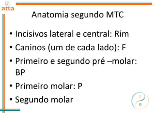 Anatomia segundo MTC
• Incisivos lateral e central: Rim
• Caninos (um de cada lado): F
• Primeiro e segundo pré –molar:
BP
• Primeiro molar: P
• Segundo molar
 